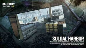 Call of Duty Suldal